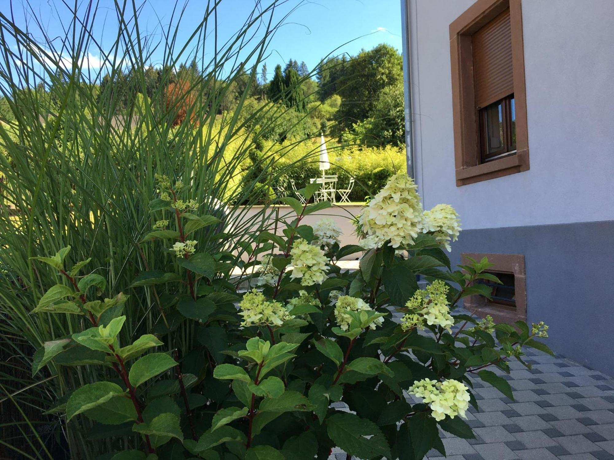 Ferienwohnung Les Magnolias En Alsace - Meuble De Tourisme 3 Etoiles Barembach Exterior foto
