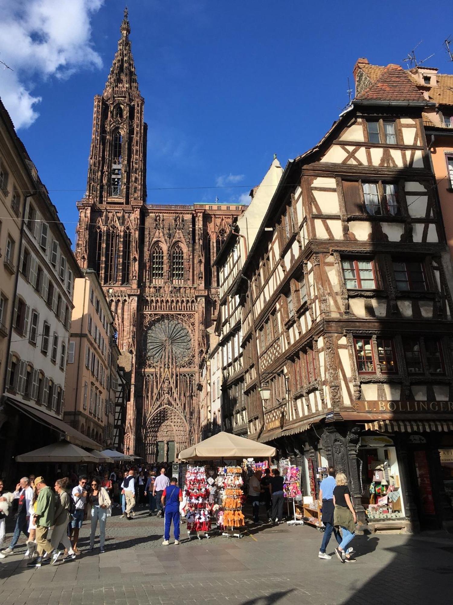 Ferienwohnung Les Magnolias En Alsace - Meuble De Tourisme 3 Etoiles Barembach Exterior foto