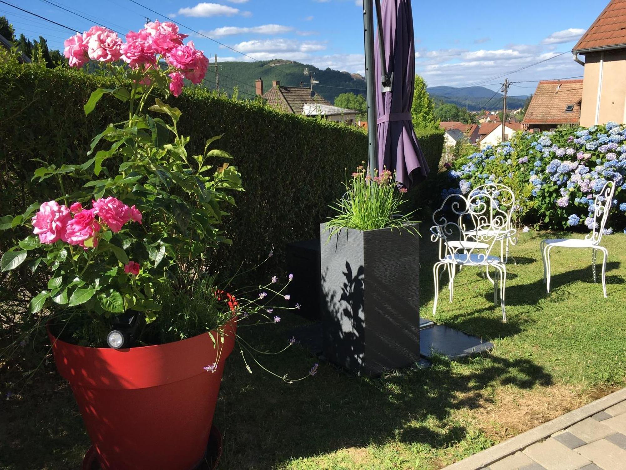 Ferienwohnung Les Magnolias En Alsace - Meuble De Tourisme 3 Etoiles Barembach Exterior foto